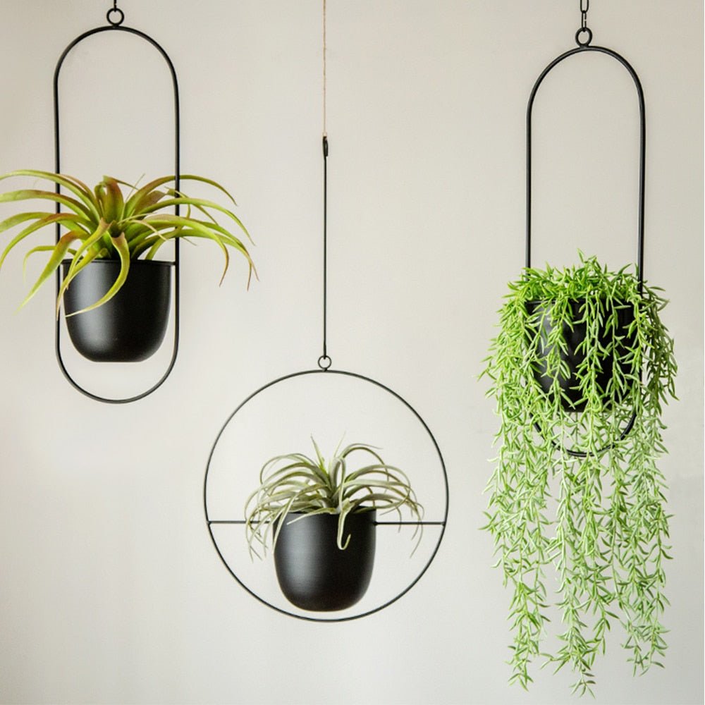 Hanging Metal Plant Pot Wall Mount Black & Gold Minimalist Design for Indoors | Sansoti