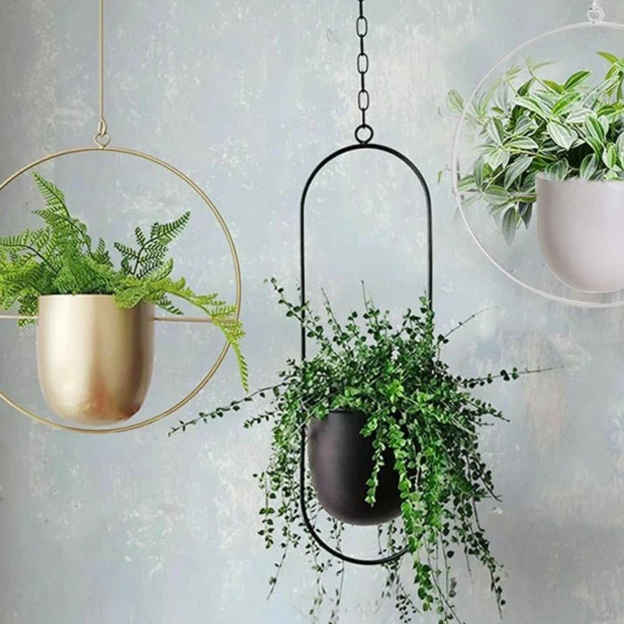 Hanging Metal Plant Pot Wall Mount Black & Gold Minimalist Design for Indoors | Sansoti