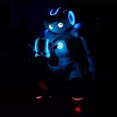 Interactieve AI Robot met 25 Bewegingsassen Meertalig 20 Talen WiFi Spraakherkenning HD Camera Smart | Sansoti