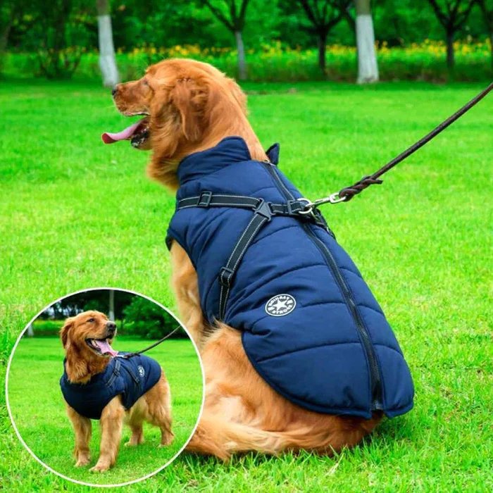Padded Winter Dog Coat Waterproof with Fleece Lining Built-In Harness Reflective Warm Dog Protection | Sansoti