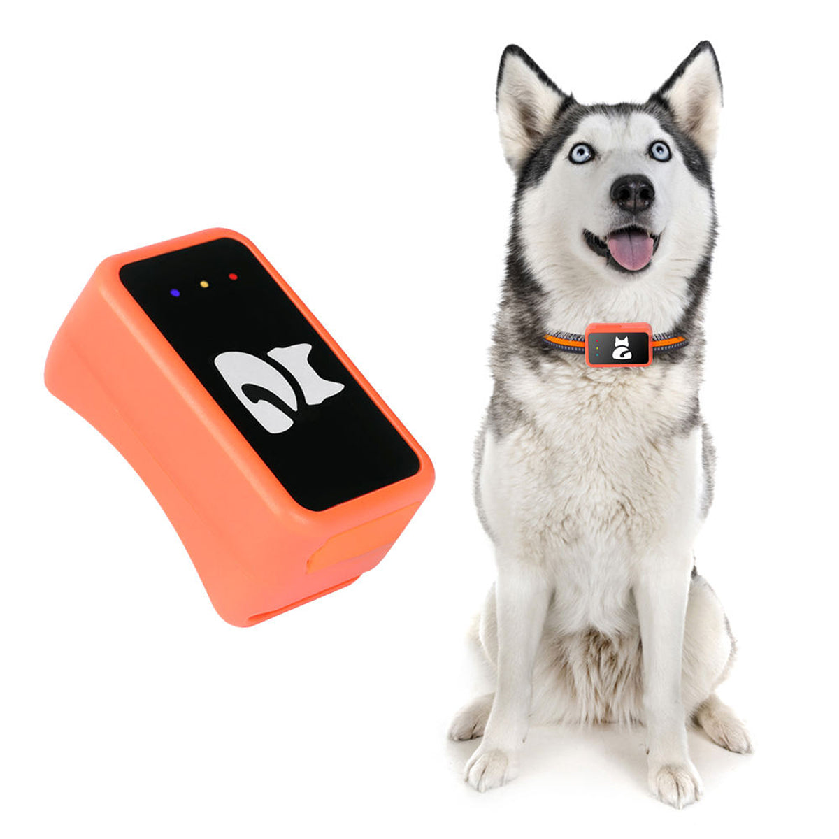 Traceur GPS pour chats et chiens - Localisateur avec suivi de la santé et mesure de l’activité - Collier inclus | Sansoti