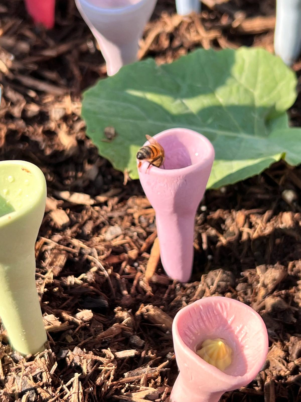 Futterstation für Bienen und Schmetterlinge – Set mit 5 Trinkbechern – Gartenwasserquelle für Bestäuber – Hilft Bienen zu hydratisieren – Umweltfreundliches Material – Ideal für bienenfreundlichen Garten | Sansoti