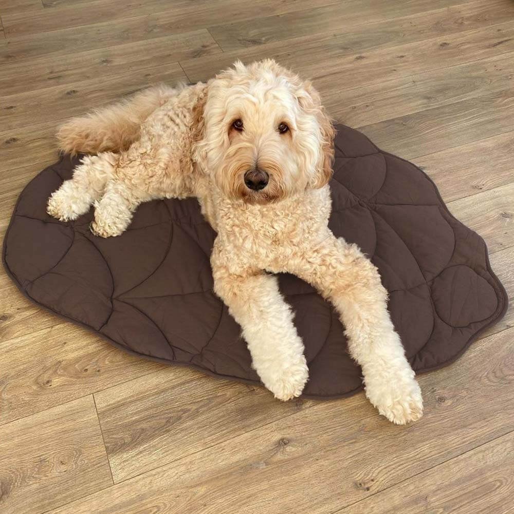 Leaf Pattern Dog Blanket 120×110 cm Anthurium Pink – Soft Pet Blanket Protective Cover for Sofa and Armchair | Sansoti