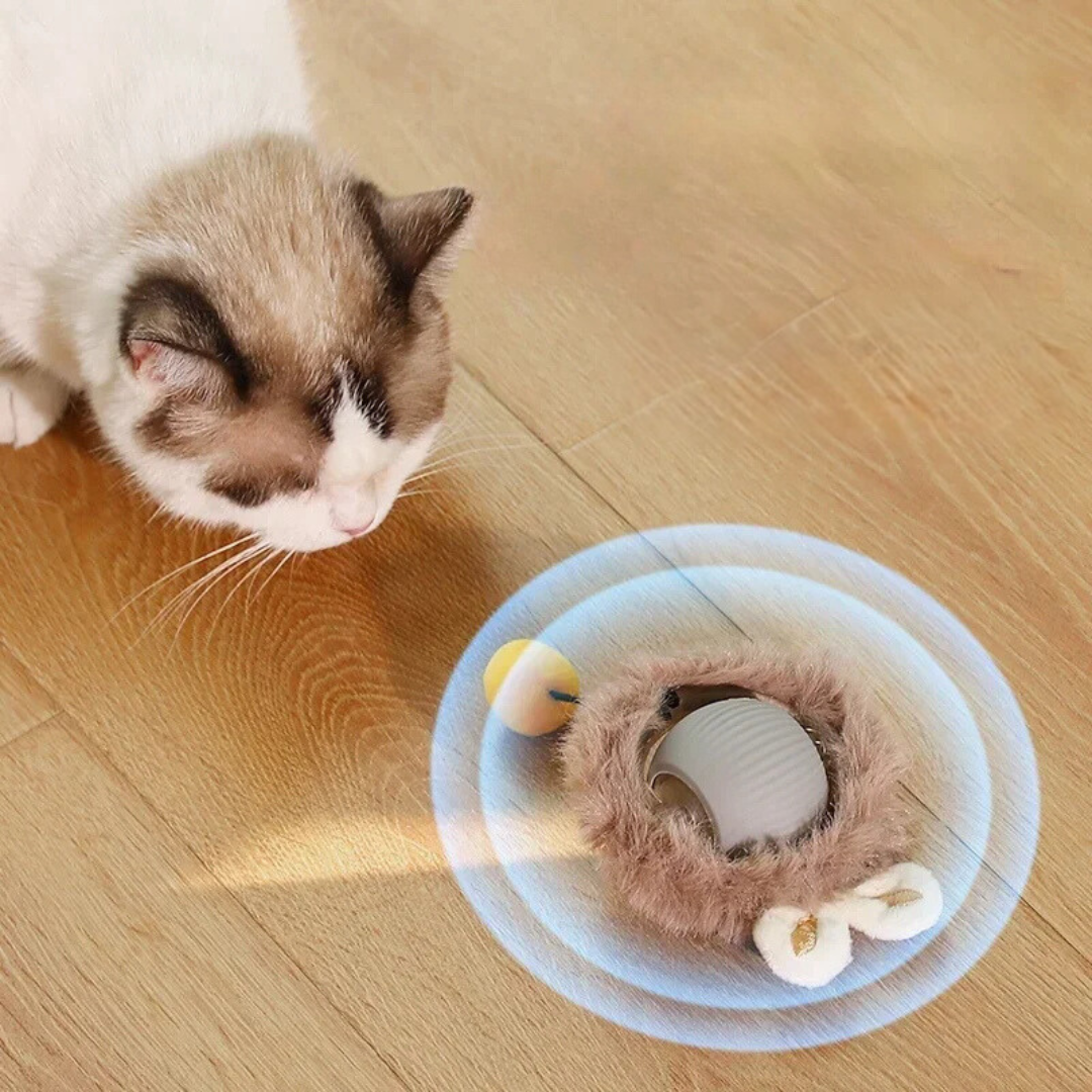 Interactive Cat Roller Toy Rechargeable via USB with Moving Tail, Prey Imitation for Active Play Cats | Sansoti