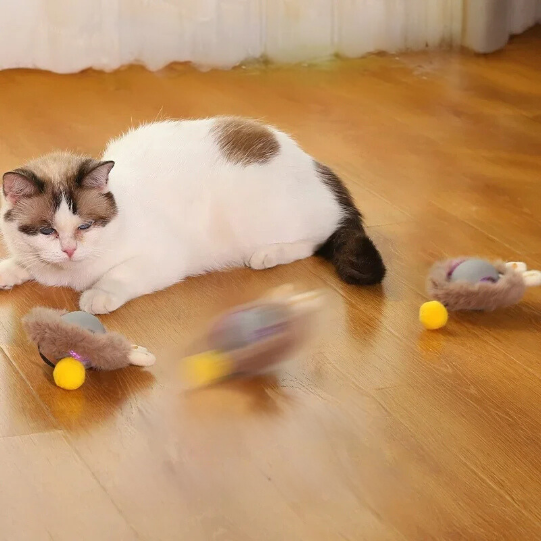 Interactive Cat Roller Toy Rechargeable via USB with Moving Tail, Prey Imitation for Active Play Cats | Sansoti