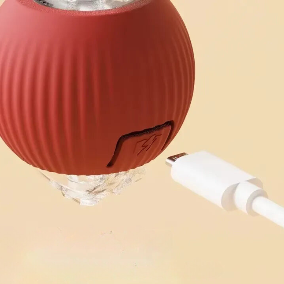Interactive Cat Roller Toy Rechargeable via USB with Moving Tail, Prey Imitation for Active Play Cats | Sansoti