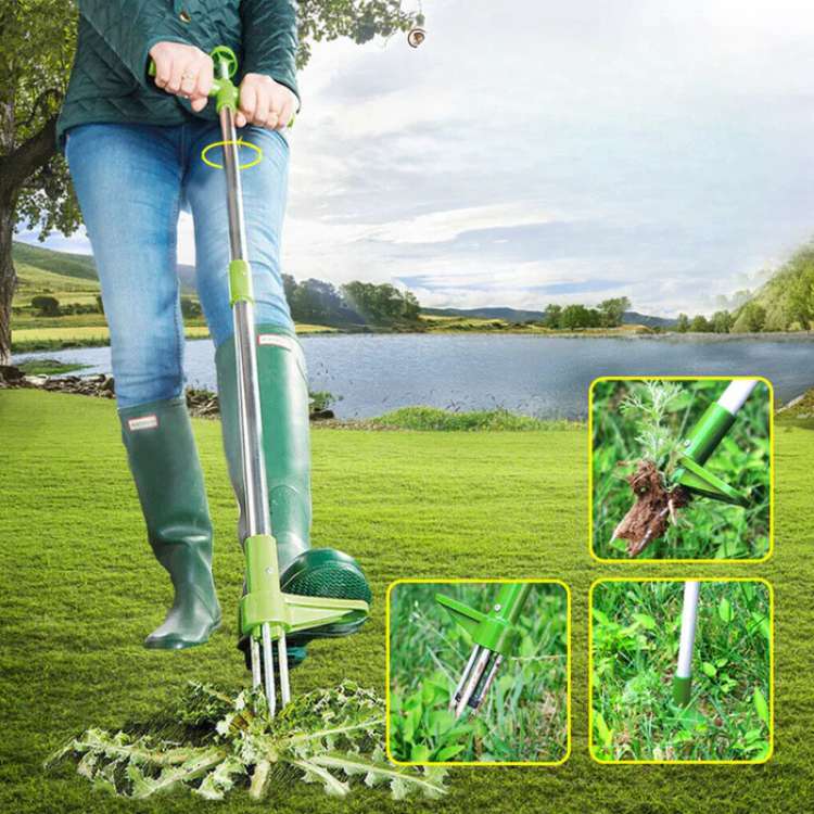Weed remover standing stainless steel garden root remover manual weed puller weed extractor gardening tool ergonomic | Sansoti