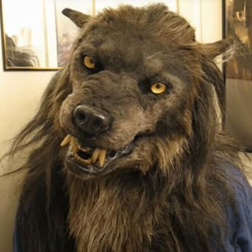 Maska wilkołaka pełna osłona głowy z lateksu na imprezy, cosplay, wydarzenia tematyczne o horrorze i Halloween | Sansoti