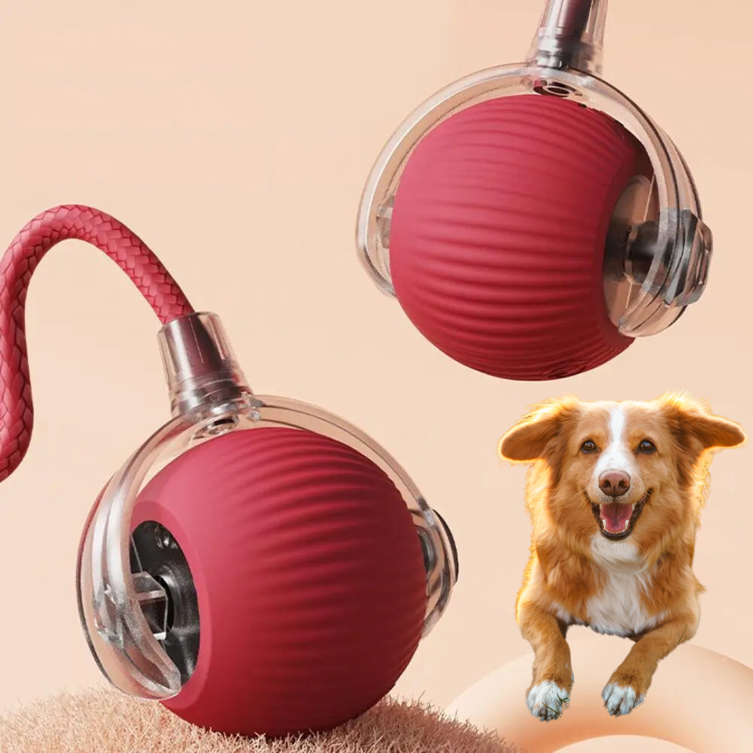 Interactive Rolling Ball with Tail for Dogs Active Toy for Movement Stimulation Pet Dog Toy | Sansoti
