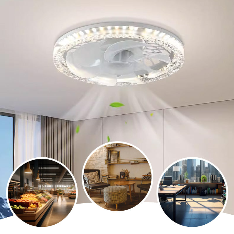 Fan with Light – Soothing Light and Cool Breeze – Remote Control – 4 Settings | Sansoti