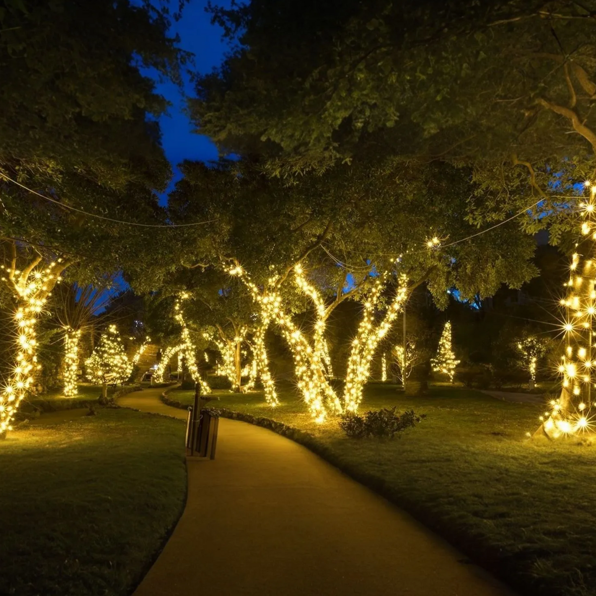 Solar LED Light String Warm White Green Copper Wire IP65 Waterproof for Garden, Terrace & Balcony | Sansoti