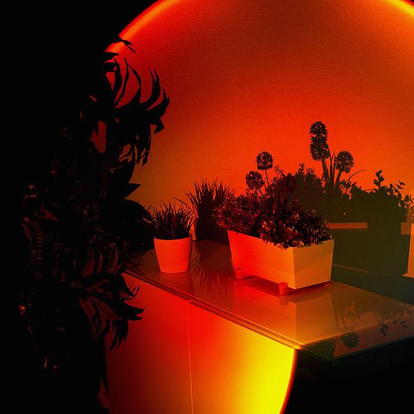 Sunset Lamp Projector LED 360 Degrees Ambient Light Sunset Lamp Room | Sansoti